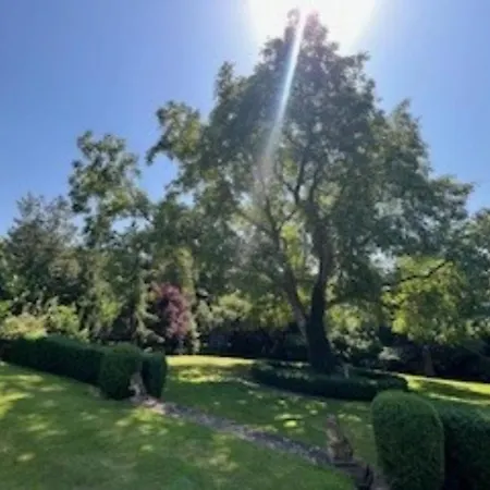 Stine Apartament Bad Doberan